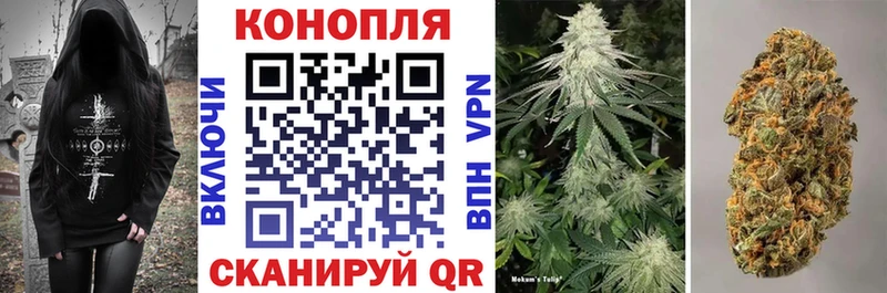 Где купить Вязьма блэк спрут как зайти Конопля