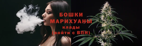 не бодяженный Белокуриха