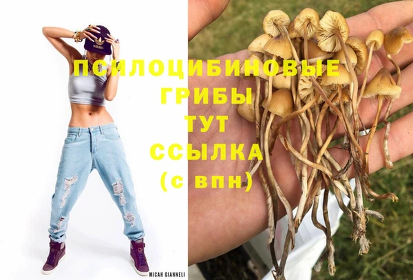 твердый Богданович