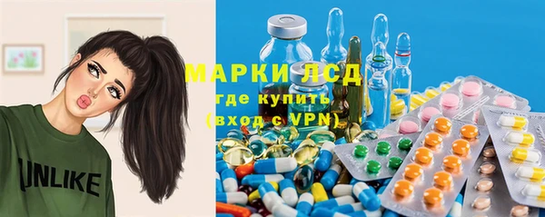 твердый Богданович