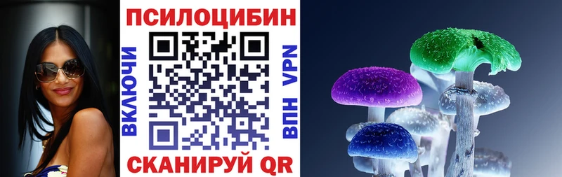 Галлюциногенные грибы Psilocybe  ссылка на мегу рабочий сайт  Вязьма  где можно купить  